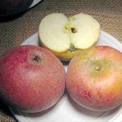 Pomme Reinette de France - 1kg
