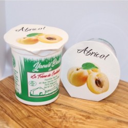 Yaourt abricot - 125g
