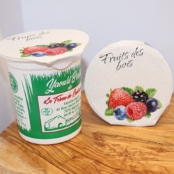 Yaourt fruits des bois – 125g