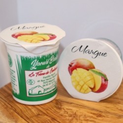 Yaourt mangue – 125g