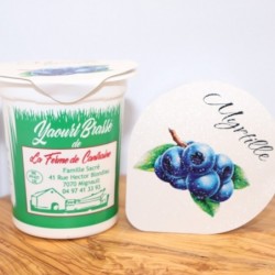 Yaourt myrtille – 125g