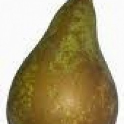 Poire Conférence - 1kg