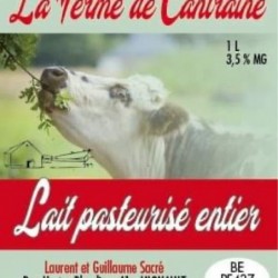 Lait entier pasteurisé en...