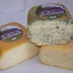 Cantraine ortie - BLOC de 300g