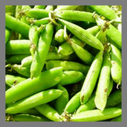 Petit pois / Erwtjes 400g