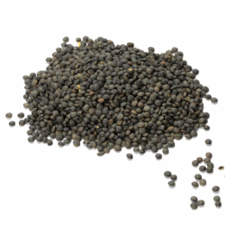 Lentille verte - 5kg - BIO...