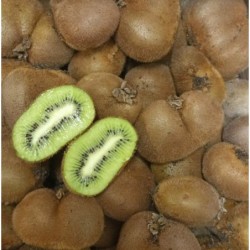 Kiwi - PIECE - bio - Espagne