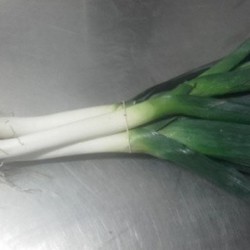 Poireau/Prei - 800g