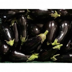 Aubergine Violette Bio (1 kg)