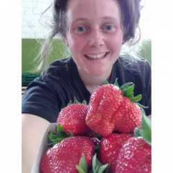 Fraise bio 500g